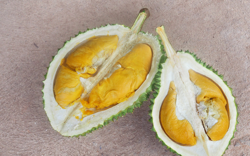 Nuanthongchan Durian – Giống Sầu Riêng Mới Siêu Ngon Ở Thái Lan