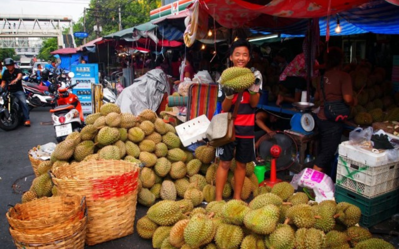 Cây giống sầu riêng Thái Lan Trung tâm giống Nông Nghiệp Việt