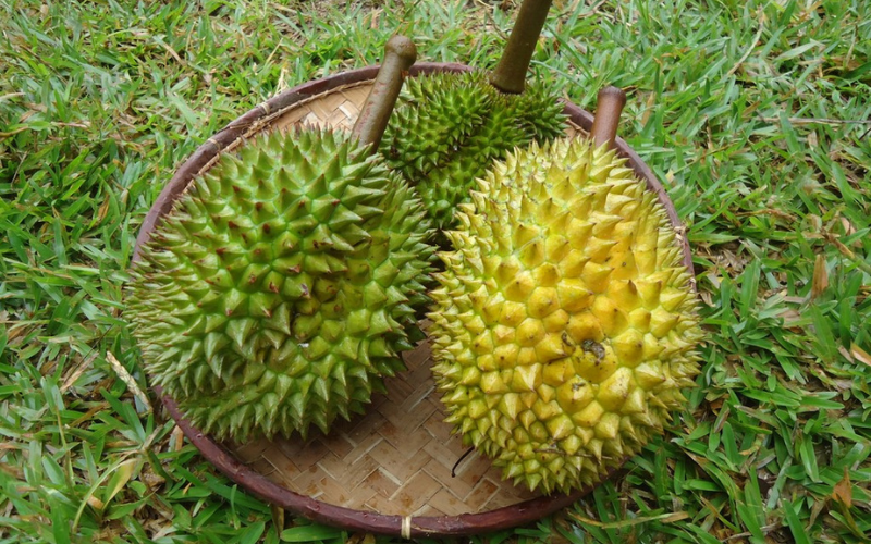 buying-delicous-durian-in-saigon-2