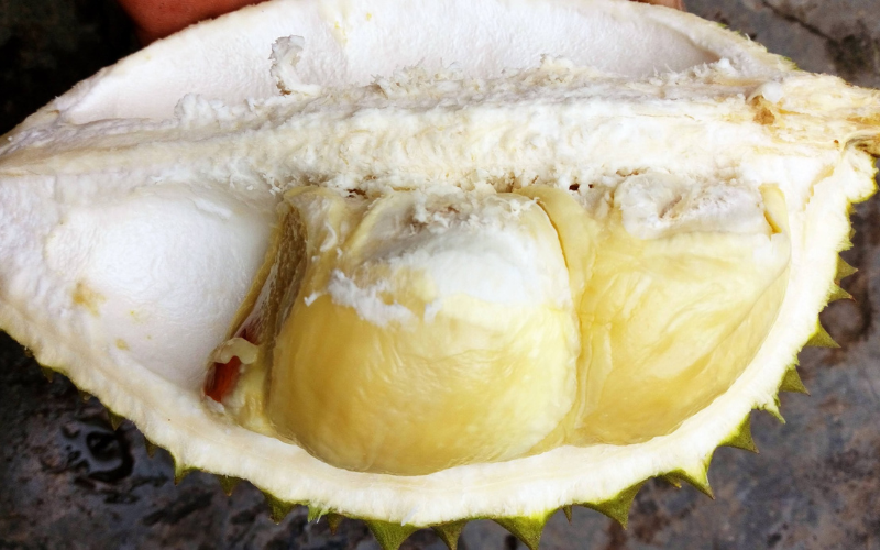 Durian variety Pomegranate
