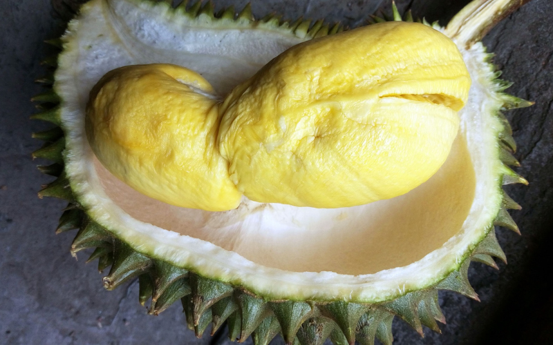Thien Huong durian